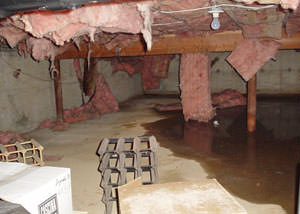 Fiberglass dripping off of the ceilings of a Maryville crawl space