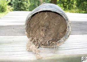clogged french drain found in Manchester, KY, Eastern Tennessee and Southeastern Kentucky